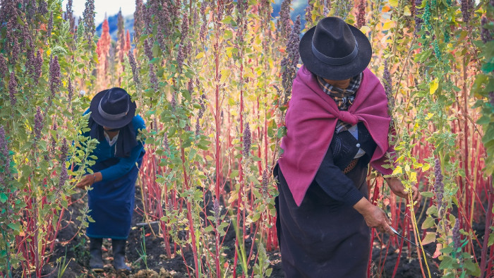 Cuidar la salud de nuestro productores será una realidad!